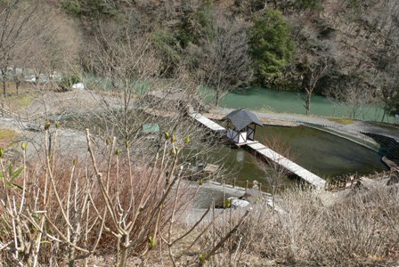 f0167007_1739989.jpg