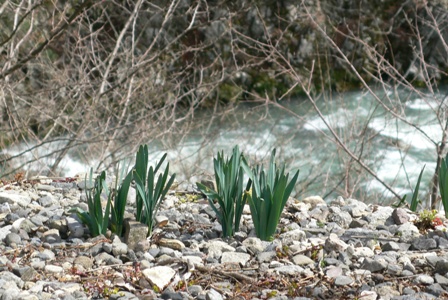 f0167007_1740061.jpg