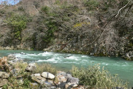 f0167007_18385890.jpg
