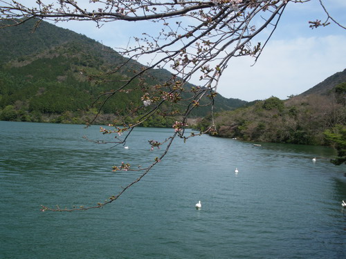 b0052108_2055416.jpg