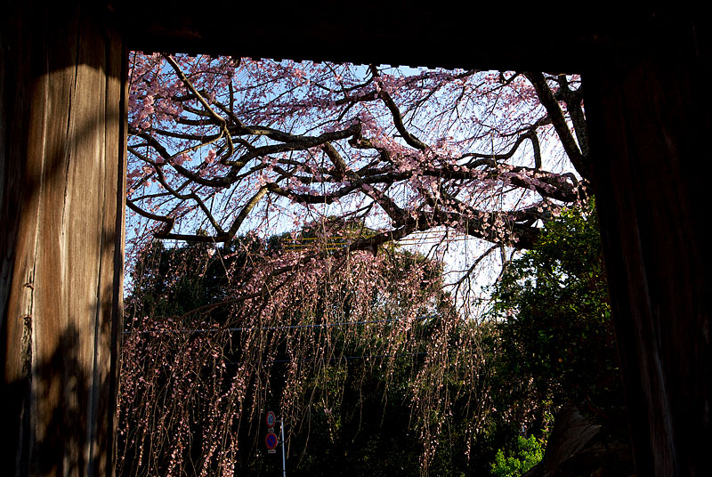 f0041908_810067.jpg
