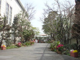 e0177509_19311914.jpg