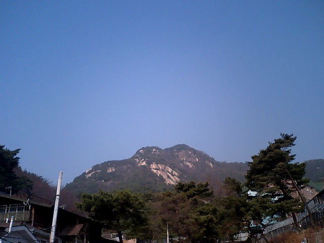 a0101715_19282933.jpg
