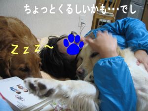 b0008217_2215090.jpg