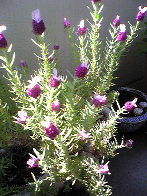 c0193017_21181292.jpg