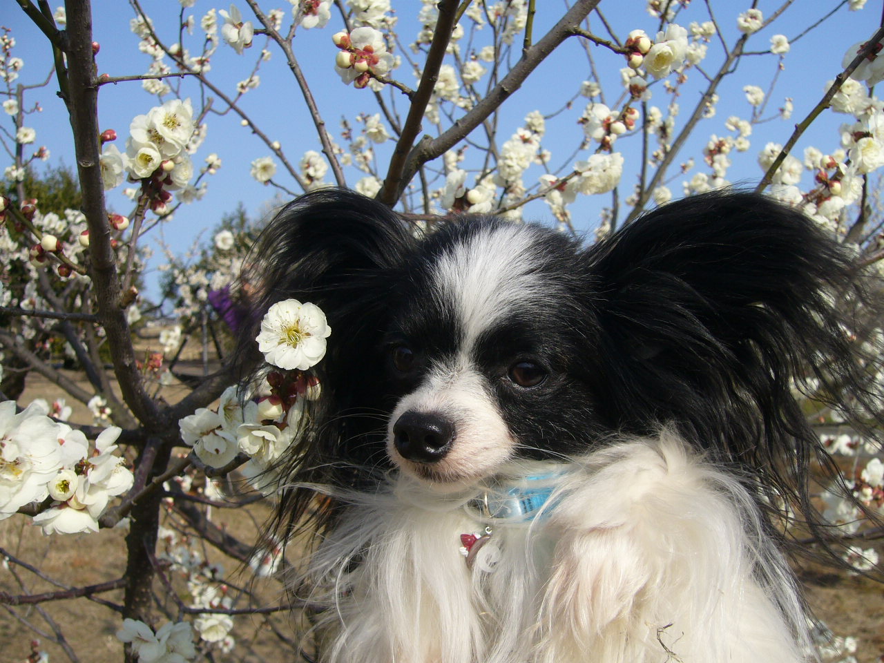 f0135021_20104523.jpg