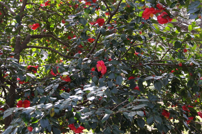 b0165522_14215847.jpg