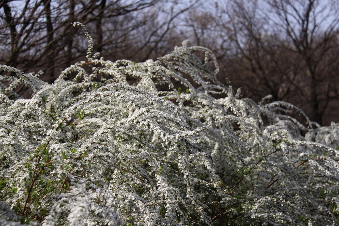 b0165522_144162.jpg