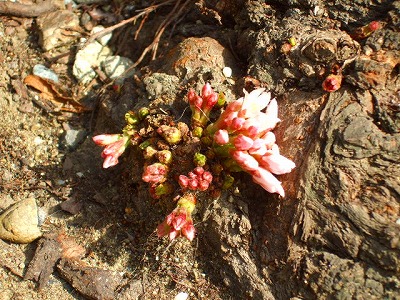 d0023323_0202821.jpg