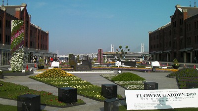 d0023323_1132241.jpg
