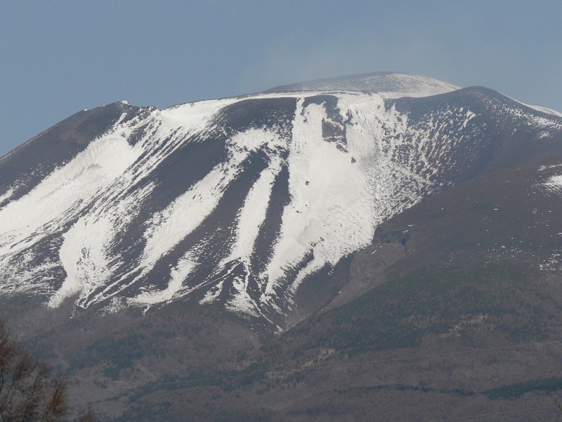 e0136424_1141894.jpg