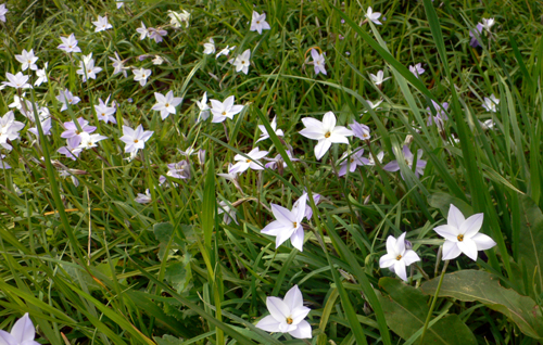 f0060424_1127396.jpg