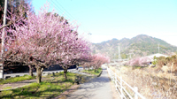 f0060424_11553497.jpg