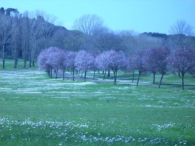 f0157724_732372.jpg