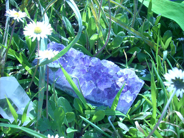 f0157724_7444851.jpg