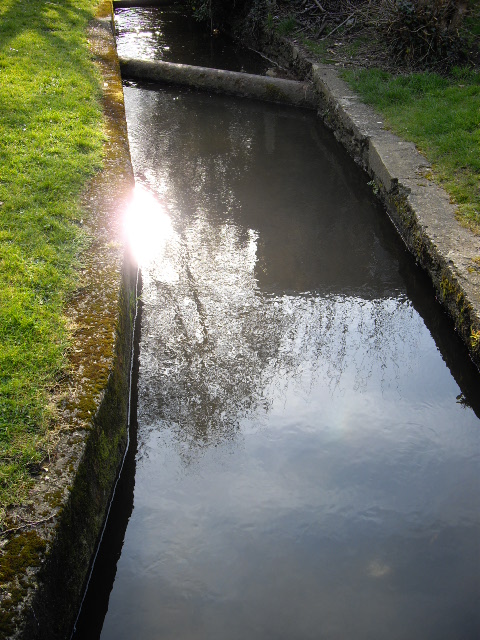 d0104926_8254391.jpg
