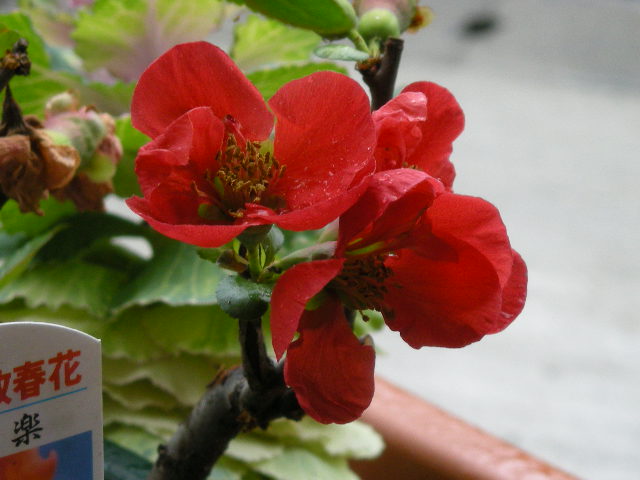 d0127926_8281117.jpg