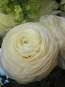 e0127926_12384581.jpg