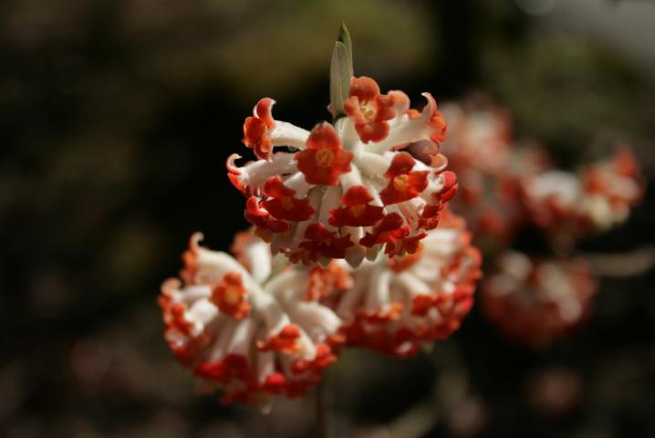 f0055228_18393536.jpg