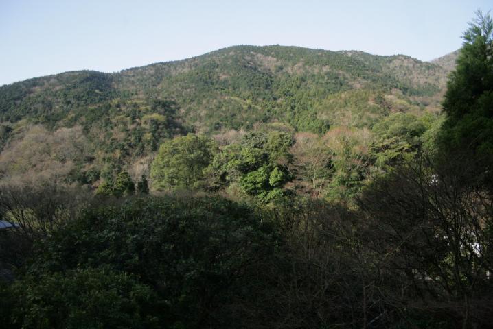 f0055228_1839999.jpg