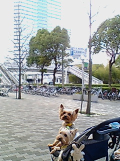 f0002833_031520.jpg