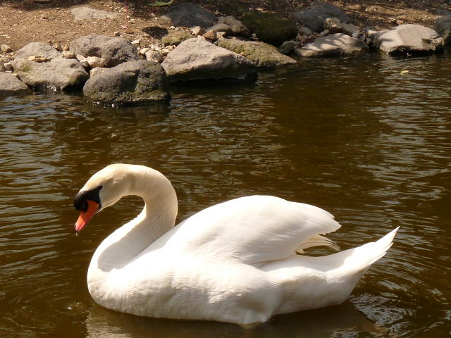 c0100534_22213863.jpg