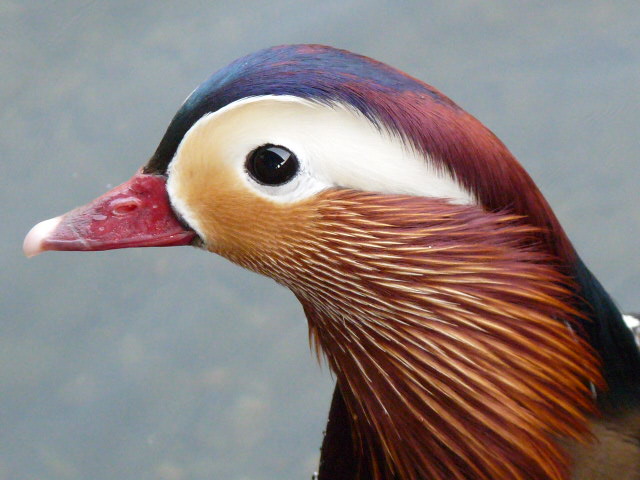 c0100534_2253573.jpg