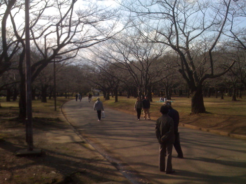 a0103035_1152677.jpg