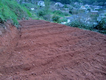 c0183137_21261115.jpg