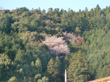 c0183137_2152327.jpg
