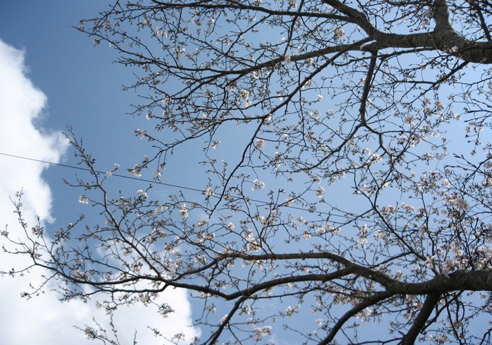 f0042737_11524356.jpg