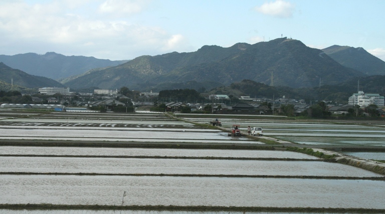 f0042737_11582828.jpg