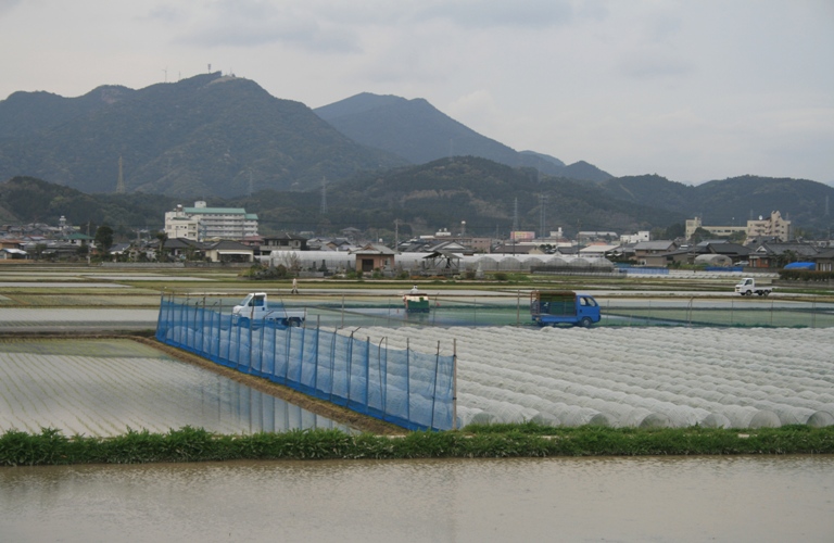 f0042737_1292017.jpg