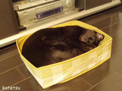 c0132438_2012064.jpg