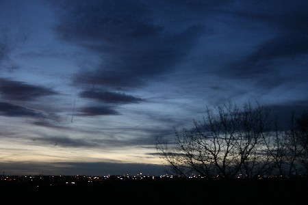 e0104941_316457.jpg