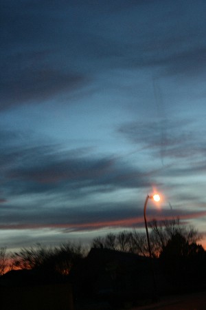 e0104941_316843.jpg