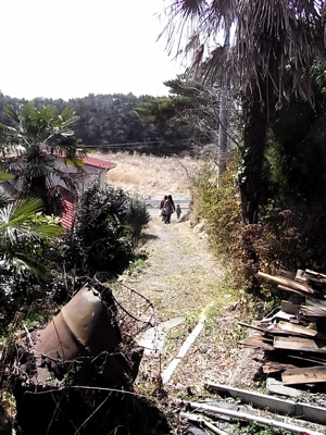 c0003752_1714645.jpg