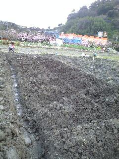 f0082659_1731073.jpg