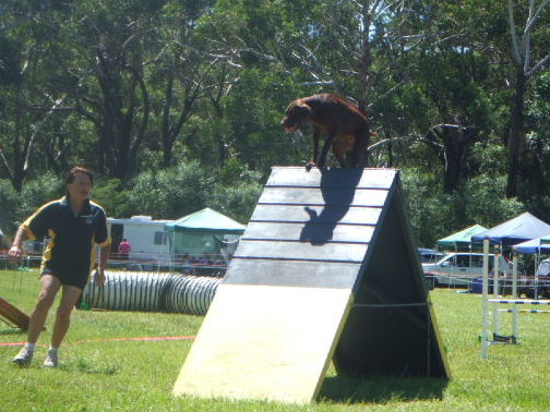 e0171460_2026115.jpg