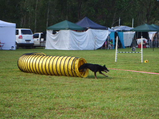 e0171460_208332.jpg