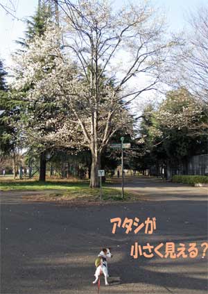 b0065067_1474759.jpg