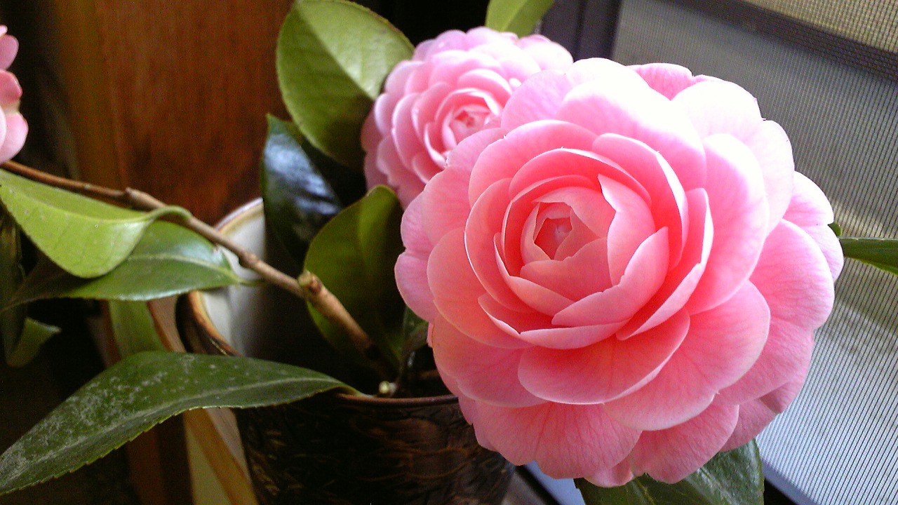 c0171468_0283722.jpg