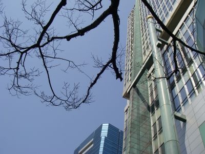 e0143671_9353279.jpg