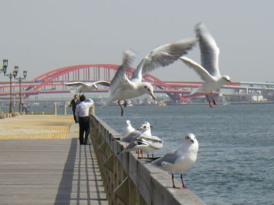 e0143671_935851.jpg