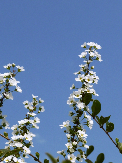 d0042474_21592122.jpg