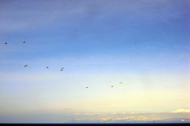 c0183777_2127130.jpg