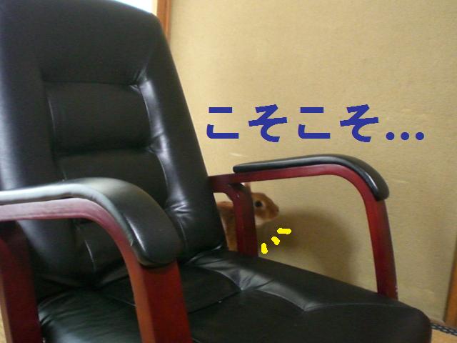 d0134977_23125811.jpg