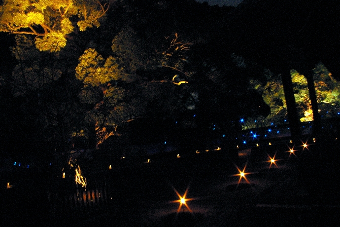 b0080789_16224628.jpg