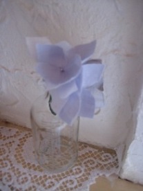 c0121291_439279.jpg