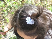 c0121291_450426.jpg